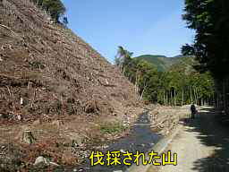 三ケ川・伐採された山、熊野古道「大辺路」を歩いた紀行文