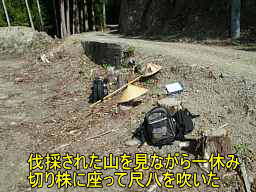 三ケ川・尺八を吹いた切株、熊野古道「大辺路」を歩いた紀行文