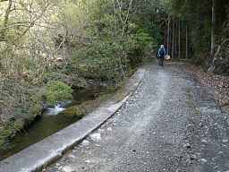 三ケ川付近の道、熊野古道「大辺路」を歩いた紀行文