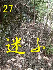 熊野古道・大辺路「富田坂」を歩く