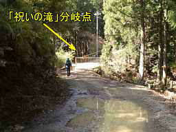 「祝の滝」分岐点、熊野古道・大辺路「富田坂」を歩く