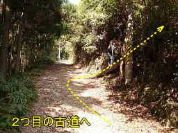 富田坂・林道より山道へ、熊野古道「大辺路」を歩いた紀行文