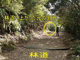 富田坂・戻った林道合流点へ、熊野古道「大辺路」を歩いた紀行文