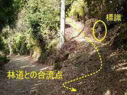 富田坂・山道と林道の合流点2、熊野古道「大辺路」を歩いた紀行文