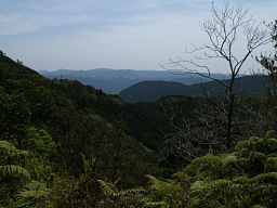 富田坂からの眺め、熊野古道「大辺路」を歩いた紀行文