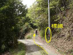 草堂寺へ、熊野古道「大辺路」を歩いた紀行文