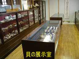 白浜・本覚寺（貝寺）貝の展示、熊野古道「大辺路」を歩いた紀行文
