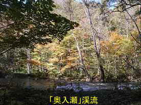 奥入瀬渓流2