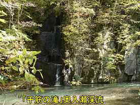 「千筋の滝」・奥入瀬渓流