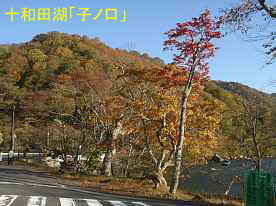 十和田湖「子ノ口」2、奥入瀬渓流