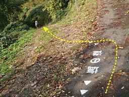 松ケ峯、地面に書かれた「塩の道」標識、塩の道