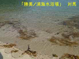 勝美ノ浦海水浴場の透明な海、美津島町、対馬