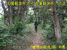 「姫神山砲台」跡・右翼より左翼への道、対馬