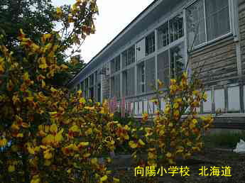 向陽小学校・北海道