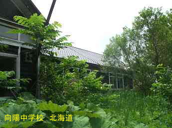 向陽中学校・北海道