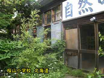 桜山小学校・北海道