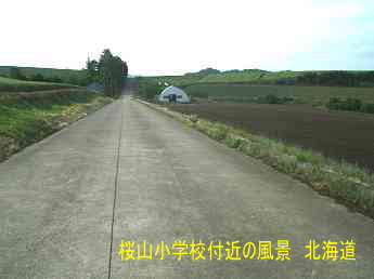 桜山小学校付近・北海道