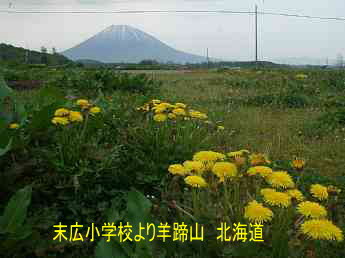 末広小学校より羊蹄山・北海道・夢の跡