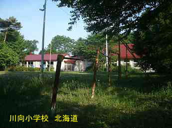 川向小学校、北海道、廃校、夢の跡