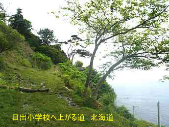 日出小学校・上り道、北海道、木造校舎。廃校、夢の跡