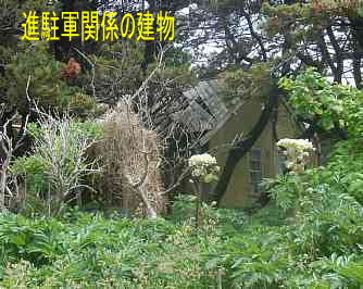 大崎小学校跡地、北海道、廃校、夢の跡