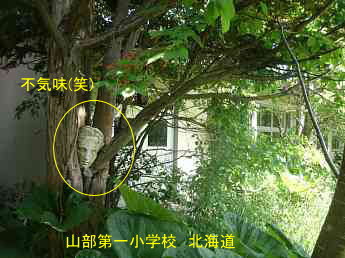 山部第一小学校、北海道、木造校舎、廃校、夢の跡