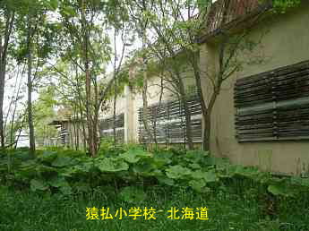 猿払小学校、北海道、廃校、夢の跡