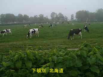 下頓別・牧場　北海道