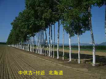 中伏古・付近、北海道