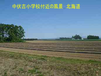 中伏古小学校付近の風景、北海道、廃校、木造校舎、夢の跡