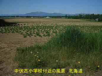 中伏古小学校付近の風景、北海道、廃校、木造校舎、夢の跡