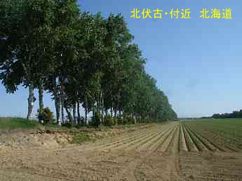 「北伏古」付近、北海道