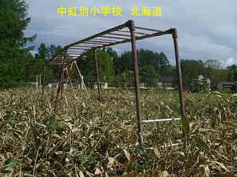 中虹別小学校、北海道、廃校、夢の跡