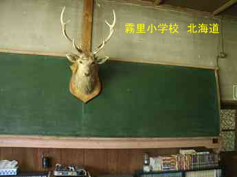 霧里小学校、北海道、木造校舎、廃校、夢の跡