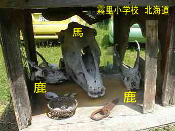 霧里小学校、北海道、木造校舎、廃校、夢の跡