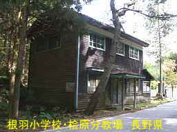 長野県の木造校舎「根羽小学校・桧原分教場」