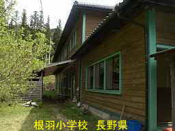 長野県の木造校舎「根羽小学校」