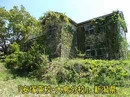安塚高校・大島分校・草に覆われた校舎、新潟県の木造校舎・廃校