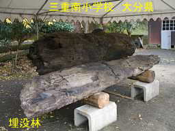 大分県の木造校舎・廃校「三重南小学校」