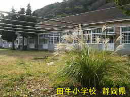田牛小学校／静岡県伊豆半島の木造校舎・廃校
