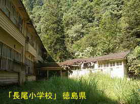 「長尾小学校」裏側、徳島県の木造校舎