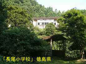 「長尾小学校」渡り廊下と校舎、徳島県の木造校舎