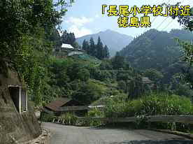 「長尾小学校」付近の風景、徳島県の木造校舎